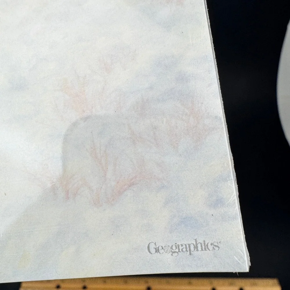 Geographics Winter Snow Holiday Printer Paper Letterhead 25 Sheets Acid Free